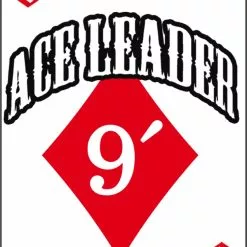 Vision ACE Tapered Leader 9ft – 2 Pieces