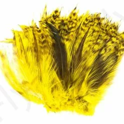 Barred Neck Hackle Feathers -Rod Tubes Verkoopwinkel Barred Neck Hackle Feathers BARNECKHACK X dsc08623 bewerkt