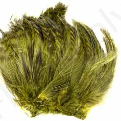 Barred Neck Hackle Feathers -Rod Tubes Verkoopwinkel Barred Neck Hackle Feathers BARNECKHACK X dsc08628 bewerkt