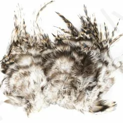 Barred Neck Hackle Feathers -Rod Tubes Verkoopwinkel Barred Neck Hackle Feathers BARNECKHACK X dsc08631 bewerkt