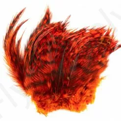 Barred Neck Hackle Feathers -Rod Tubes Verkoopwinkel Barred Neck Hackle Feathers BARNECKHACK X dsc08636 bewerkt