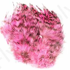 Barred Neck Hackle Feathers -Rod Tubes Verkoopwinkel Barred Neck Hackle Feathers BARNECKHACK X dsc08638 bewerkt