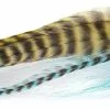 Bauer Pike Deceiver UV Baitfish -Rod Tubes Verkoopwinkel Bauer Pike Deceiver UV Baitfish HF1607 hf1607 1