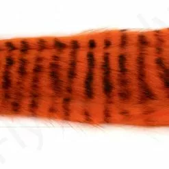 Black Barred 3 Mm Zonkerstrips -Rod Tubes Verkoopwinkel Black Barred 3 mm Zonkerstrips 50 95XXX dsc01855