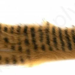 Black Barred 5 Mm Magnum Zonkerstrips -Rod Tubes Verkoopwinkel Black Barred 5 mm Magnum Zonkerstrips 50 88XXX dsc01978