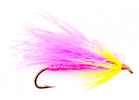 Cardinelle #10 3 Cardinelle #10