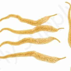 Cascade Mangums Dragon Tails 5pc 23 Cascade Mangums Dragon Tails 5pc -Rod Tubes Verkoopwinkel Cascade Magnums Dragon Tails 5pc CASC MDT X dsc09726 bewerkt