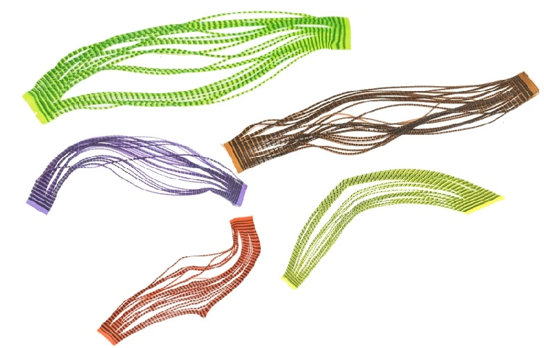 Cascade Micro Barred Grizzly Legs 4 Cascade Micro Barred Grizzly Legs - Afbeelding 2