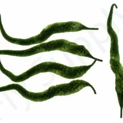 Cascade Micro Dragon Tails 5pc 30 Cascade Micro Dragon Tails 5pc -Rod Tubes Verkoopwinkel Cascade Micro Dragon Tails 5pc CASC MIDT X dsc09730 bewerkt