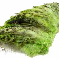 Chinchilla Saddle Neck Grizzly -Rod Tubes Verkoopwinkel Chinchilla Saddle Neck Grizzly FSTYING CSNG X dsc01831 bewerkt wm