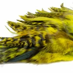 Chinchilla Saddle Neck Grizzly -Rod Tubes Verkoopwinkel Chinchilla Saddle Neck Grizzly FSTYING CSNG X dsc01841 bewerkt wm