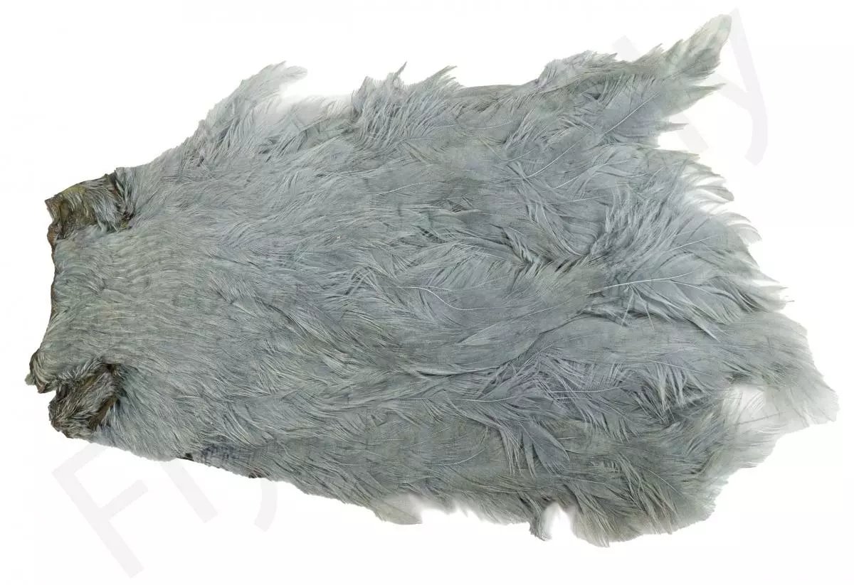 Chinese Hen Necks 4 Chinese Hen Necks - Afbeelding 2