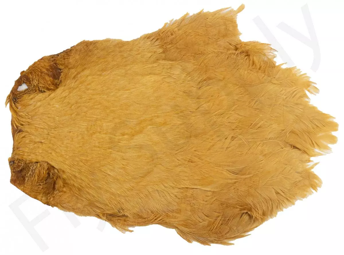 Chinese Hen Necks 7 Chinese Hen Necks - Afbeelding 5