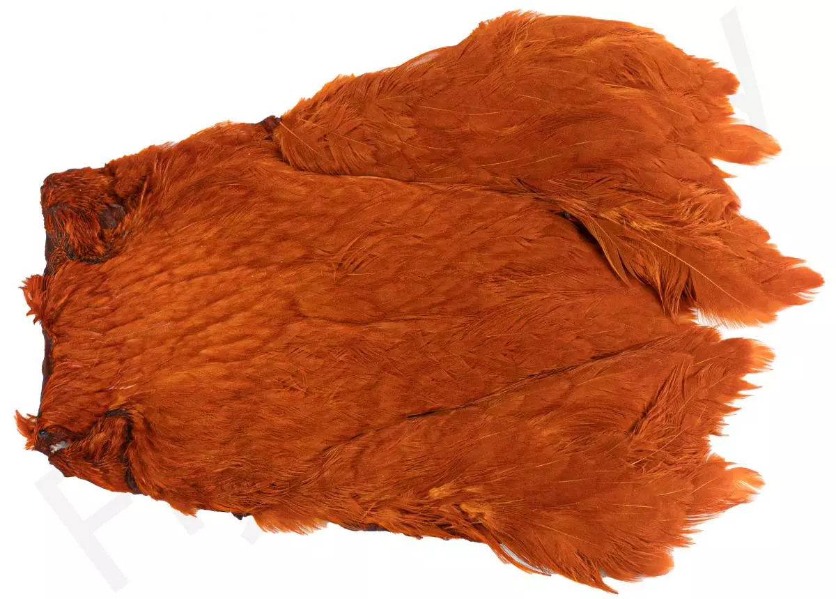 Chinese Hen Necks 6 Chinese Hen Necks - Afbeelding 4