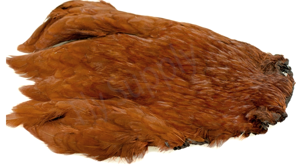 Chinese Hen Necks 5 Chinese Hen Necks - Afbeelding 3