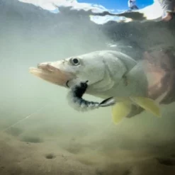 Chocklett’s Finesse Changer Streamer Baby Brown 9cm 13 Chocklett’s Finesse Changer Streamer Baby Brown 9cm -Rod Tubes Verkoopwinkel Chockletts Finesse Changer Streamer Baby Brown 9cm D2360047 finesse changer catch5