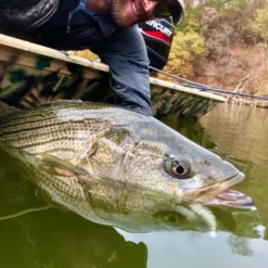 Chocklett’s Finesse Changer Streamer Baby Brown 9cm 12 Chocklett’s Finesse Changer Streamer Baby Brown 9cm -Rod Tubes Verkoopwinkel Chockletts Finesse Changer Streamer Baby Brown 9cm D2360047 finesse changer catch6
