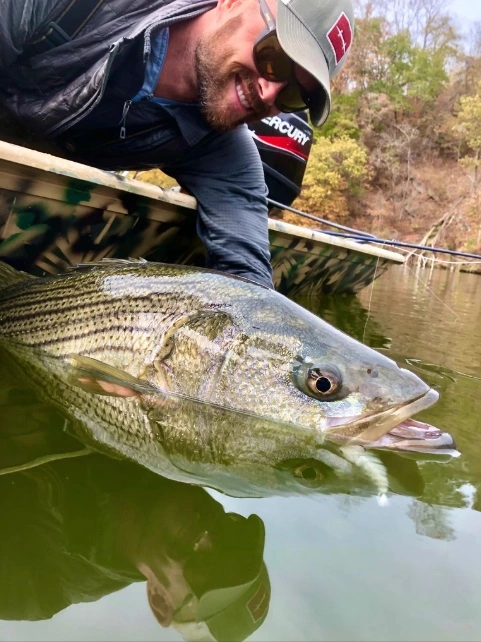 Chocklett’s Finesse Changer Streamer Chartreuse 9cm 8 Chocklett’s Finesse Changer Streamer Chartreuse 9cm - Afbeelding 6