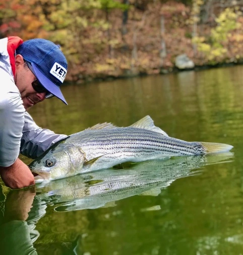 Chocklett’s Finesse Changer Streamer Fire Tiger 9cm 4 Chocklett’s Finesse Changer Streamer Fire Tiger 9cm - Afbeelding 2