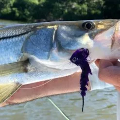 Chocklett’s Finesse Changer Streamer Fire Tiger 9cm 13 Chocklett’s Finesse Changer Streamer Fire Tiger 9cm -Rod Tubes Verkoopwinkel Chockletts Finesse Changer Streamer Fire Tiger 9cm D2360046 chockletts finesse changer streamer tan 9cm d2360042 finesse changer catch3