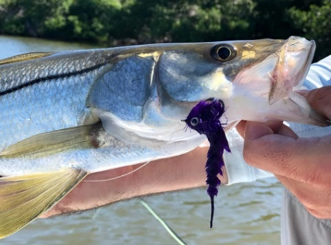 Chocklett’s Finesse Changer Streamer Purple & Black 9cm 8 Chocklett’s Finesse Changer Streamer Purple & Black 9cm - Afbeelding 6