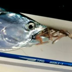 Chocklett’s Micro Finesse Changer Streamer Olive 4,5cm -Rod Tubes Verkoopwinkel Chockletts Micro Finesse Changer Streamer Olive 45cm D2360072 microi finesse changer catch5