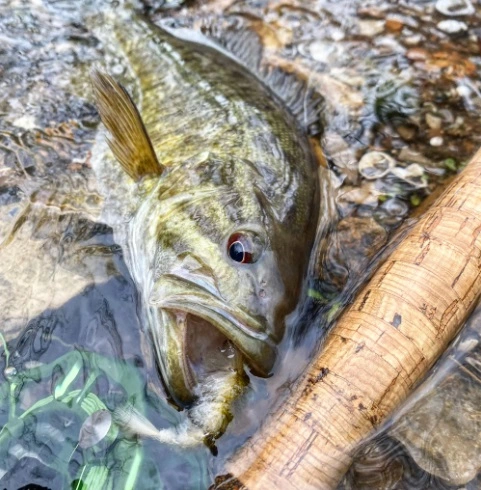 Chocklett’s Mini Finesse Changer Streamer Purple & Black 7cm 7 Chocklett’s Mini Finesse Changer Streamer Purple & Black 7cm - Afbeelding 5