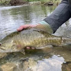 Chocklett’s Mini Finesse Changer Streamer Purple & Black 7cm 12 Chocklett’s Mini Finesse Changer Streamer Purple & Black 7cm -Rod Tubes Verkoopwinkel Chockletts Mini Finesse Changer Streamer Purple Black 7cm D2360053 mini finesse changer catch1