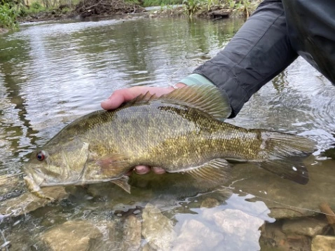Chocklett’s Mini Finesse Changer Streamer Purple & Black 7cm 6 Chocklett’s Mini Finesse Changer Streamer Purple & Black 7cm - Afbeelding 4