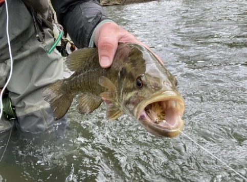 Chocklett’s Mini Finesse Changer Streamer Purple & Black 7cm 5 Chocklett’s Mini Finesse Changer Streamer Purple & Black 7cm - Afbeelding 3