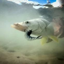 Chocklett’s Mini Finesse Changer Streamer White 7cm -Rod Tubes Verkoopwinkel Chockletts Mini Finesse Changer Streamer White 7cm D2360050 chockletts mini finesse changer streamer purple black 7cm d2360053 finesse changer catch5