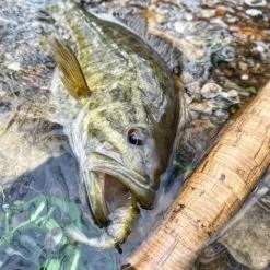 Chocklett’s Mini Finesse Changer Streamer White 7cm -Rod Tubes Verkoopwinkel Chockletts Mini Finesse Changer Streamer White 7cm D2360050 chockletts mini finesse changer streamer purple black 7cm d2360053 mini finesse changer catch