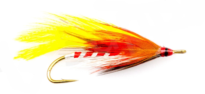 Colonel Bates #8 3 Colonel Bates #8