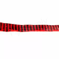 Black Barred 5 Mm Magnum Zonkerstrips -Rod Tubes Verkoopwinkel DSC 2100