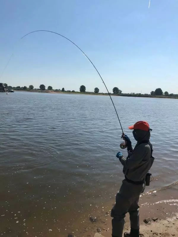 Wiggle Tail Fluo White Trout & Perch Streamer #8 5 Wiggle Tail Fluo White Trout & Perch Streamer #8 - Afbeelding 3