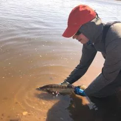 Wiggle Tail Fluo Orange Trout & Perch Streamer #8 -Rod Tubes Verkoopwinkel Daniel20Snoekbaars20420Medium