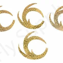 Dragon Tails XL 4pc Original Pacchiarini’s -Rod Tubes Verkoopwinkel Dragon Tails XL 4pc Original Pacchiarinis FSTYING DTXL X dsc08656