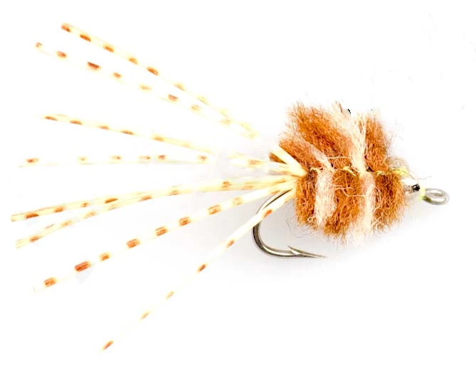 Driscoll Crab #6 3 Driscoll Crab #6