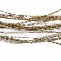 Whiting Dry Fly Saddle Feather Pack 18pc -Rod Tubes Verkoopwinkel Dry Fly Saddle Feather Pack 18pc DFSADSM X dsc09911 bewerkt wm