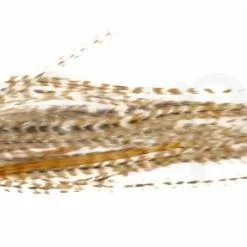 Whiting Dry Fly Saddle Feather Pack 18pc -Rod Tubes Verkoopwinkel Dry Fly Saddle Feather Pack 18pc DFSADSM X dsc09919 bewerkt wm