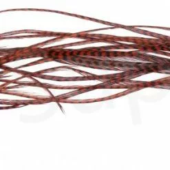 Whiting Dry Fly Saddle Feather Pack 18pc -Rod Tubes Verkoopwinkel Dry Fly Saddle Feather Pack 18pc DFSADSM X dsc09923 bewerkt wm