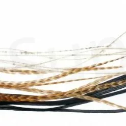 Whiting Dry Fly Saddle Feather Pack 18pc -Rod Tubes Verkoopwinkel Dry Fly Saddle Feather Pack 18pc DFSADSM X dsc09931 bewerkt wm