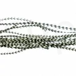 Whiting Dry Fly Saddle Feather Pack 18pc -Rod Tubes Verkoopwinkel Dry Fly Saddle Feather Pack 18pc DFSADSM X dsc09933 bewerkt wm