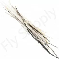 Dry Fly Saddles Select Short Feathers 18 Dry Fly Saddles Select Short Feathers -Rod Tubes Verkoopwinkel Dry Fly Saddles Select Short Feathers DFSSSHORT XX dry fly saddles select short feathers dfssshort xx dsc07372 bewerkt