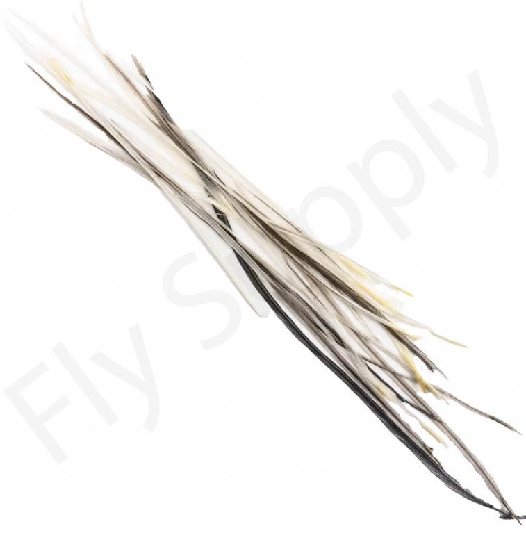 Dry Fly Saddles Select Short Feathers 8 Dry Fly Saddles Select Short Feathers - Afbeelding 6