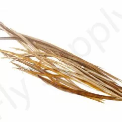 Dry Fly Saddles Select Short Feathers 16 Dry Fly Saddles Select Short Feathers -Rod Tubes Verkoopwinkel Dry Fly Saddles Select Short Feathers DFSSSHORT XX dsc00055 bewerkt