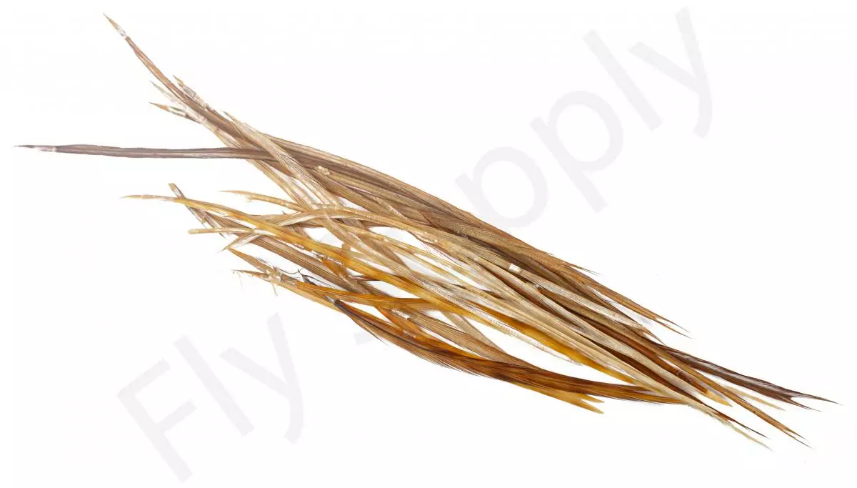 Dry Fly Saddles Select Short Feathers 6 Dry Fly Saddles Select Short Feathers - Afbeelding 4