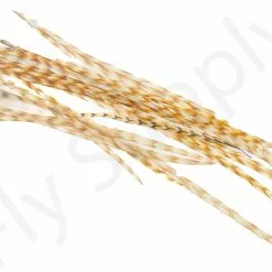 Dry Fly Saddles Select Short Feathers 15 Dry Fly Saddles Select Short Feathers -Rod Tubes Verkoopwinkel Dry Fly Saddles Select Short Feathers DFSSSHORT XX dsc00058 bewerkt