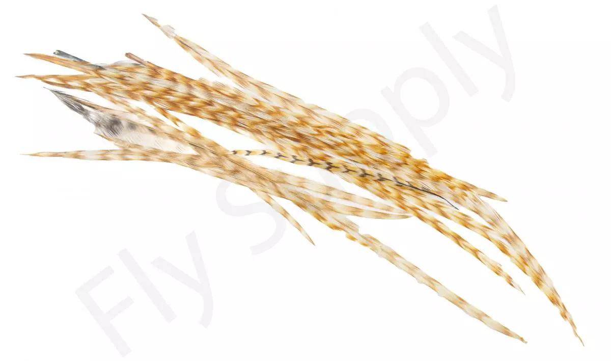 Dry Fly Saddles Select Short Feathers 5 Dry Fly Saddles Select Short Feathers - Afbeelding 3