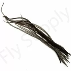 Dry Fly Saddles Select Short Feathers 23 Dry Fly Saddles Select Short Feathers -Rod Tubes Verkoopwinkel Dry Fly Saddles Select Short Feathers DFSSSHORT XX dsc00959 bewerkt